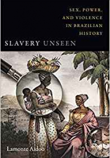 Slavery Unseen: Sex, Power, and Violence in Brazilian History